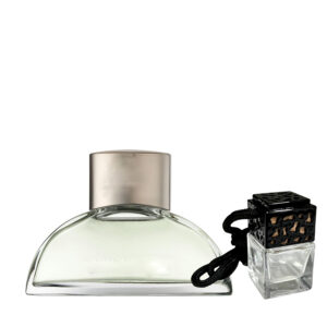 Hugo Boss Boss Women<br>Аромадифузор для автомобіля 10 мл