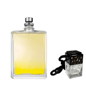 Escentric Molecules Molecule 01 + Ginger<br>Аромадифузор для автомобіля 10 мл